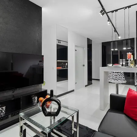 Black & White Bliss: Luksusowy Apartament Z Klimatyzacja * Lodz
